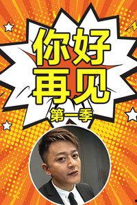 你好再见 在线视频,一场跨越时空的在线视频奇遇