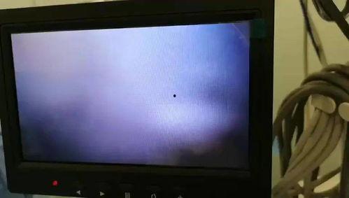 分泌物在线视频,在线视频带你探索人体奥秘