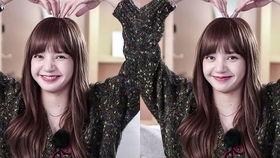 韩国舞姬在线视频,在线视频中的动感魅力解析