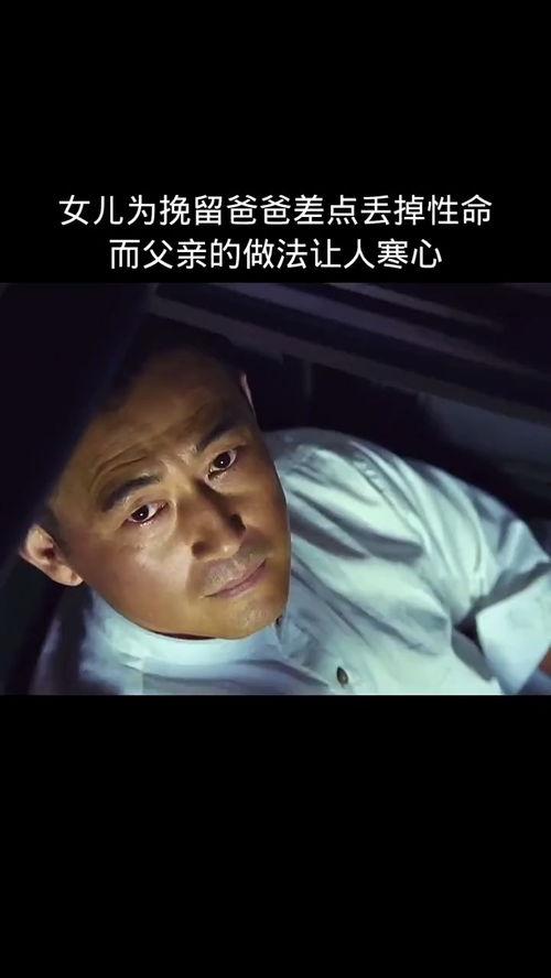 寒心影视在线视频,沉浸式观影体验，带你领略影视世界的寒意与温情